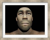 Framed Portrait of a male Homo Erectus
