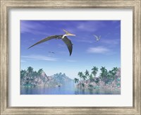Framed Pteranodon birds flying above islands with palm trees