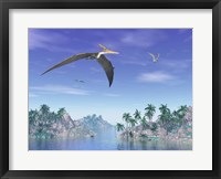 Framed Pteranodon birds flying above islands with palm trees
