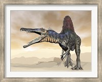 Framed Spinosaurus dinosaur roaring in the desert