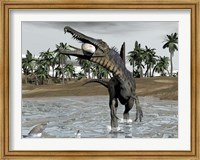 Framed Spinosaurus dinosaur walking in water and feeding on fish