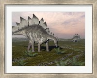 Framed Stegosaurus dinosaurs grazing on plants