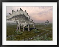 Framed Stegosaurus dinosaurs grazing on plants