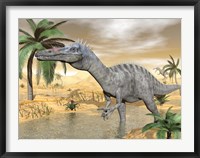 Framed Suchomimus dinosaur walking in the water in desert landscape