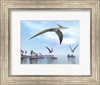Framed Three pteranodons flying over landscape with hills, palm trees and water