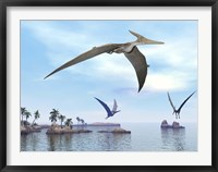 Framed Three pteranodons flying over landscape with hills, palm trees and water