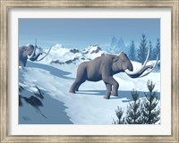 Framed Two large mammoths walking slowly on the snowy mountain