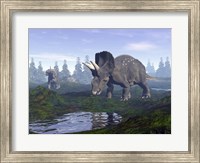 Framed Two Nedoceratops dinosaurs walking to water puddle in the morning light