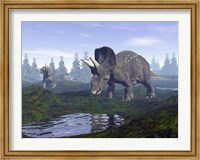 Framed Two Nedoceratops dinosaurs walking to water puddle in the morning light