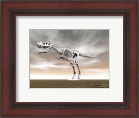 Framed Tyrannosaurus rex skeleton