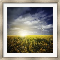 Framed Wind turbine in a canola field against cloudy sky at sunset, Denmark