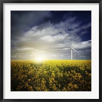 Framed Wind turbine in a canola field against cloudy sky at sunset, Denmark