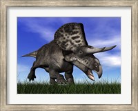 Framed Zuniceratops dinosaur running in the grass