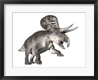 Framed Zuniceratops dinosaur, white background