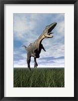 Framed Aucasaurus dinosaur running on the green grass with mouth open