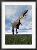Framed Aucasaurus dinosaur running on the green grass with mouth open