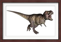 Framed Aggressive Tyrannosaurus Rex growling, white background