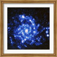 Framed U.V. Image of the Spiral Galaxy