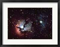 Framed Triffid Nebula In Sagitarius