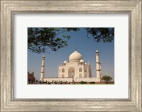 Framed Asia, India, Taj Mahal with trees above as framing element