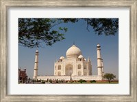 Framed Asia, India, Taj Mahal with trees above as framing element