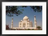 Framed Asia, India, Taj Mahal with trees above as framing element