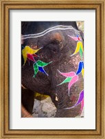 Framed Elephant at Amber Fort, Rajasthan, Jaipur, India