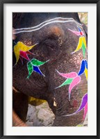Framed Elephant at Amber Fort, Rajasthan, Jaipur, India