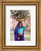 Framed Woman Carrying Firewood on Head in Jungle of Ranthambore National Park, Rajasthan, India