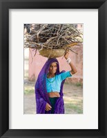 Framed Woman Carrying Firewood on Head in Jungle of Ranthambore National Park, Rajasthan, India