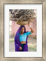Framed Woman Carrying Firewood on Head in Jungle of Ranthambore National Park, Rajasthan, India