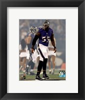 Framed Terrell Suggs 2014 Action