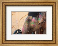 Framed Decorated elephant at the Amber Fort, Jaipur, Rajasthan, India.