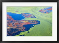 Framed Algae on the water, Indhar Lake, Udaipur, Rajasthan, India