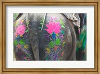 Framed Elephant Decorated with Colorful Painting at Elephant Festival, Jaipur, Rajasthan, India