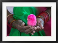 Framed Woman and Chick Painted with Holy Color, Orissa, India