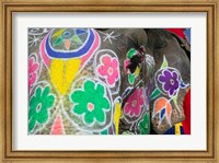 Framed Painted Elephant, Amber Fort, India