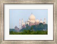 Framed Taj Mahal (UNESCO World Heritage site), Agra, India