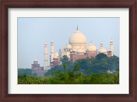 Framed Taj Mahal (UNESCO World Heritage site), Agra, India