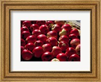 Framed India, Ladakh, Leh. Apples at market in Lamayuru