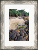 Framed Beach Landscape, Java, Indonesia