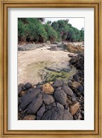 Framed Beach Landscape, Java, Indonesia