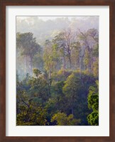 Framed Sulawesi Tangkoko Rainforest, Sulawesi