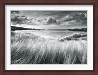 Framed Sea Grass