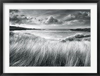 Framed Sea Grass