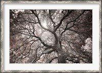 Framed Ethereal Tree