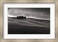 Framed Cypresses and Rolling Hills