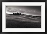 Framed Cypresses and Rolling Hills