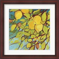 Framed Lemons Above