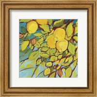 Framed Lemons Above